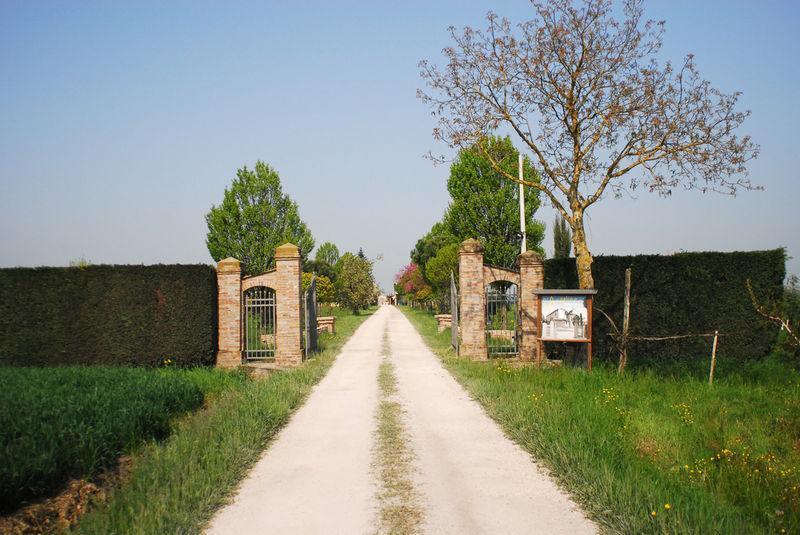 Вілла Agriturismo L'Angelina Alfonsine Екстер'єр фото